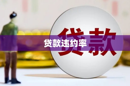汉滨贷款违约率