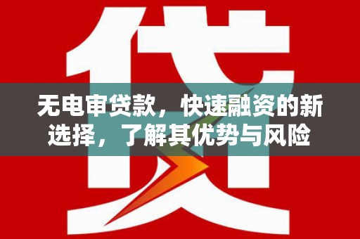 汉滨无电审贷款，快速融资的新选择，了解其优势与风险