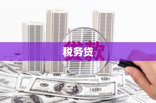 汉滨税务贷