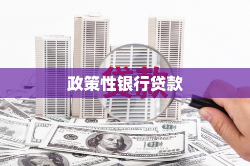 汉滨政策性银行贷款