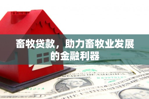 汉滨畜牧贷款，助力畜牧业发展的金融利器