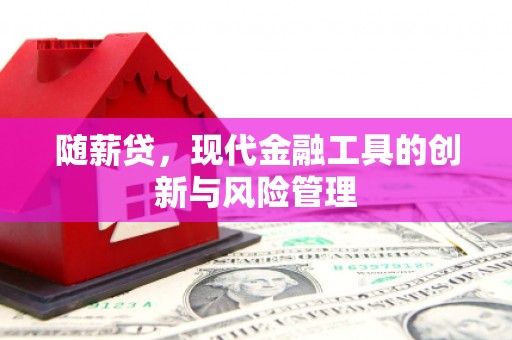 汉滨随薪贷，现代金融工具的创新与风险管理