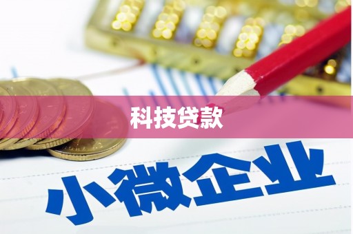 汉滨科技贷款