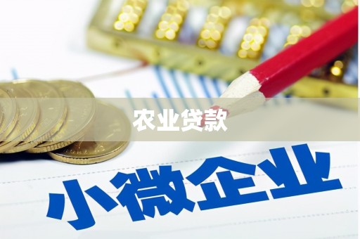 汉滨农业贷款