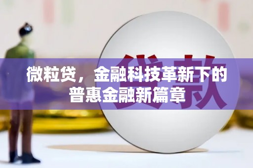 汉滨微粒贷，金融科技革新下的普惠金融新篇章