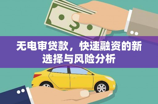 汉滨无电审贷款，快速融资的新选择与风险分析