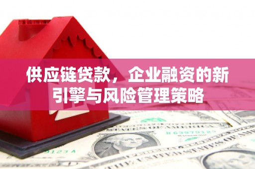 汉滨供应链贷款，企业融资的新引擎与风险管理策略