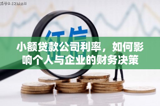 汉滨小额贷款公司利率，如何影响个人与企业的财务决策
