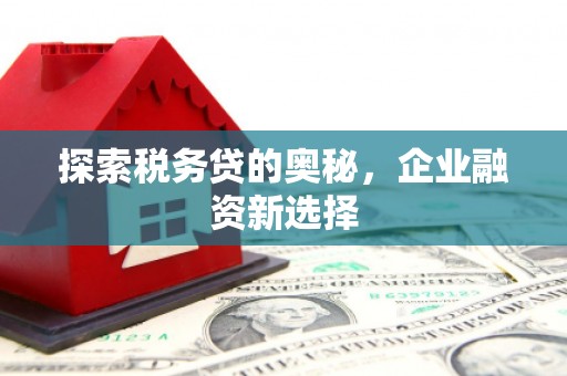 汉滨探索税务贷的奥秘，企业融资新选择