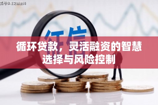 汉滨循环贷款，灵活融资的智慧选择与风险控制