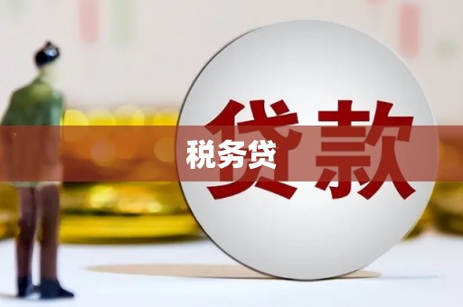 汉滨税务贷