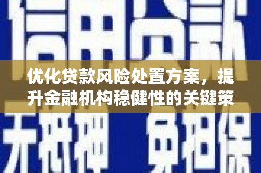 汉滨优化贷款风险处置方案，提升金融机构稳健性的关键策略
