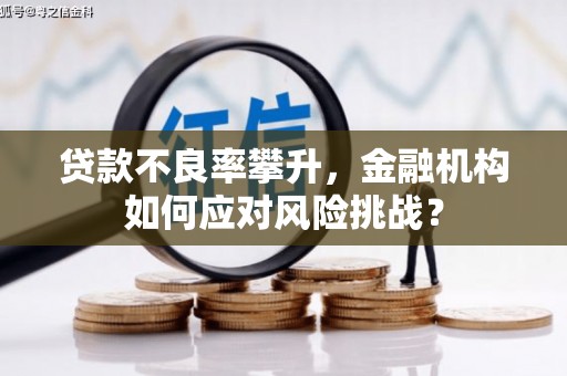 汉滨贷款不良率攀升，金融机构如何应对风险挑战？