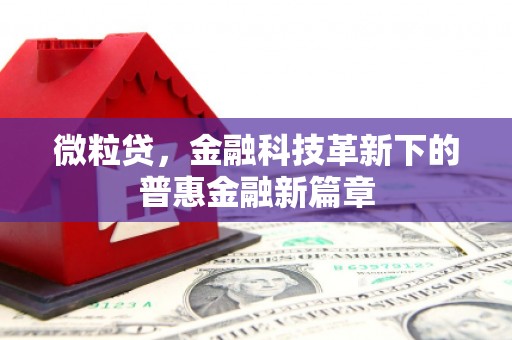 汉滨微粒贷，金融科技革新下的普惠金融新篇章