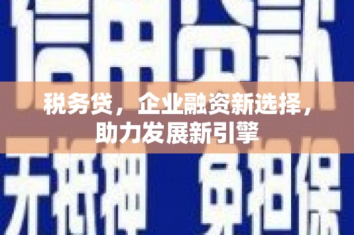 汉滨税务贷，企业融资新选择，助力发展新引擎