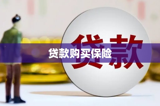 汉滨贷款购买保险