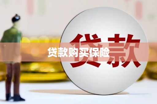 汉滨贷款购买保险