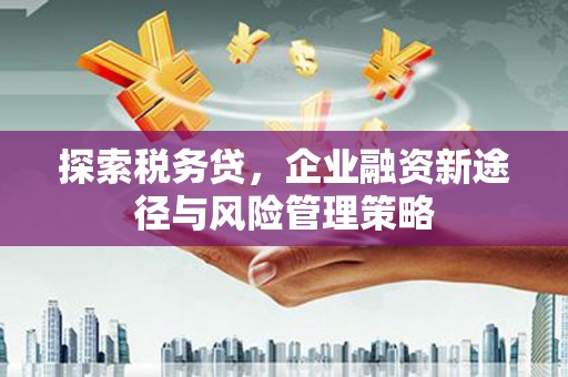 汉滨探索税务贷，企业融资新途径与风险管理策略