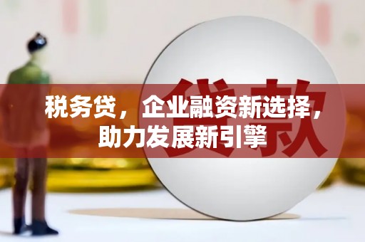 汉滨税务贷，企业融资新选择，助力发展新引擎