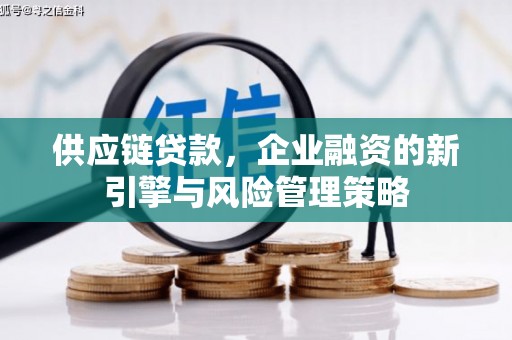 汉滨供应链贷款，企业融资的新引擎与风险管理策略