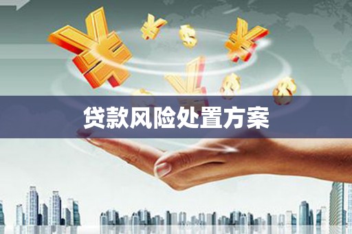汉滨贷款风险处置方案