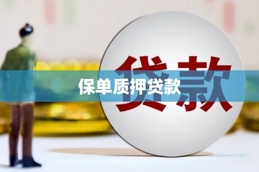 汉滨保单质押贷款