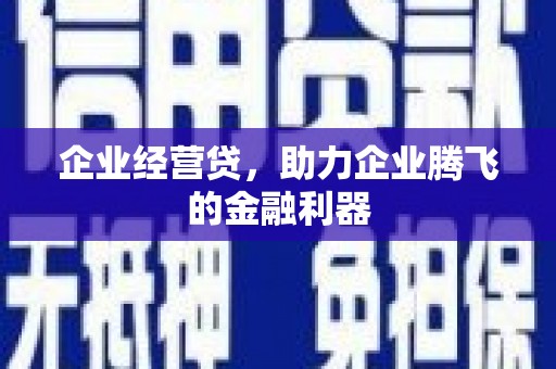 汉滨企业经营贷，助力企业腾飞的金融利器