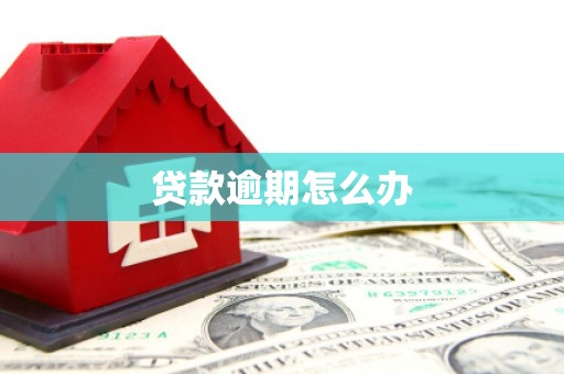 汉滨贷款逾期怎么办