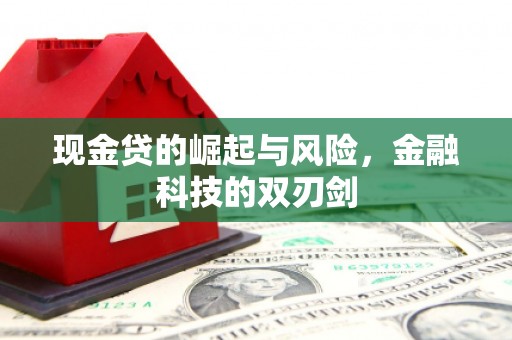 汉滨现金贷的崛起与风险，金融科技的双刃剑
