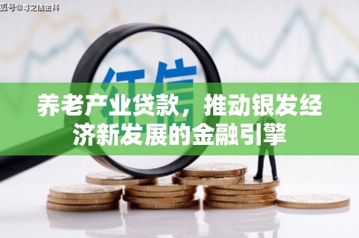 汉滨养老产业贷款，推动银发经济新发展的金融引擎