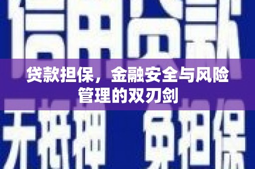 汉滨贷款担保，金融安全与风险管理的双刃剑