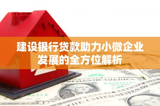 汉滨建设银行贷款助力小微企业发展的全方位解析