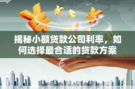 汉滨揭秘小额贷款公司利率，如何选择最合适的贷款方案