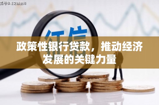 汉滨政策性银行贷款，推动经济发展的关键力量
