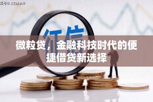 汉滨微粒贷，金融科技时代的便捷借贷新选择
