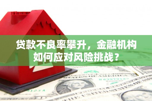 汉滨贷款不良率攀升，金融机构如何应对风险挑战？