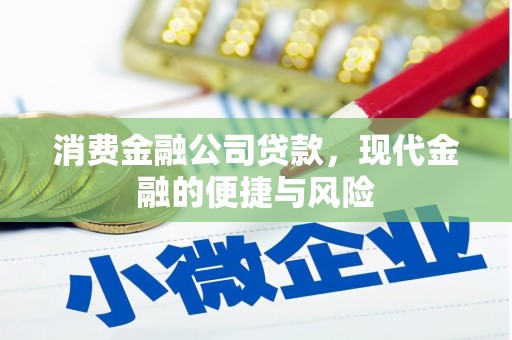 汉滨消费金融公司贷款，现代金融的便捷与风险