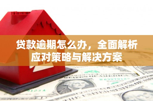 汉滨贷款逾期怎么办，全面解析应对策略与解决方案
