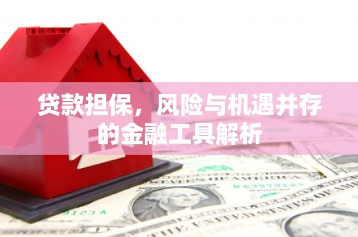 汉滨贷款担保，风险与机遇并存的金融工具解析