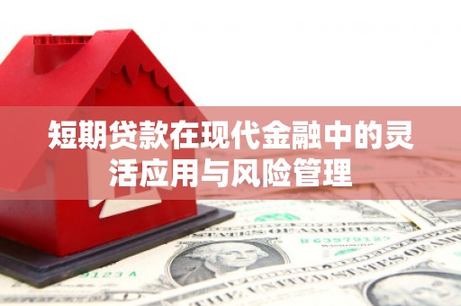 汉滨短期贷款在现代金融中的灵活应用与风险管理