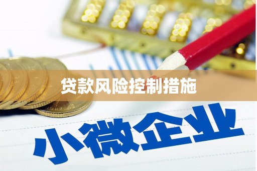 汉滨贷款风险控制措施
