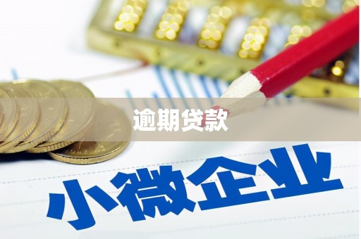 汉滨逾期贷款